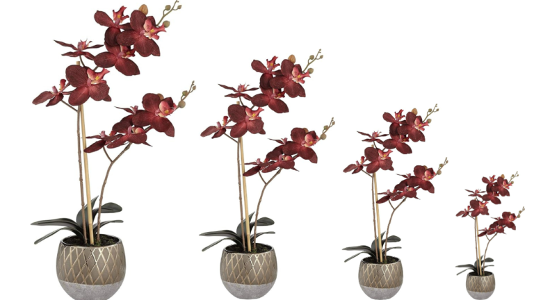 Elevate Your Home Decor with the Timeless Beauty of Red Flowers Transform Your Space with the Studio 55D Red Orchid Arrangement