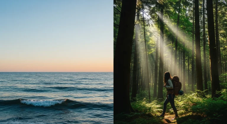 Ocean Forests